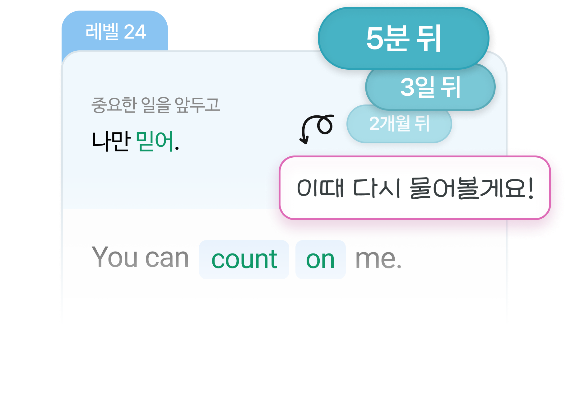 학습 기록을 분석해 복습주기를 설정