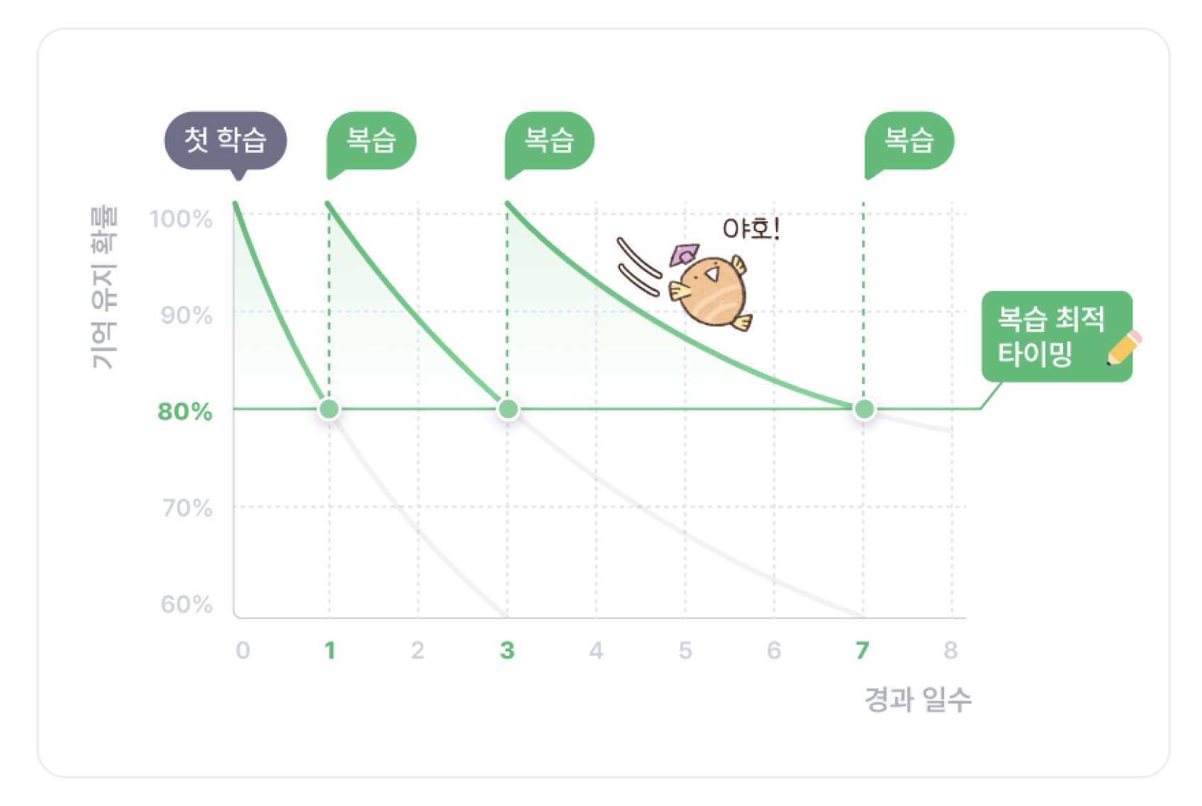경과 일수에 따른 기억 유지 확률 그래프